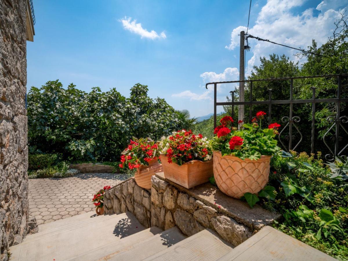Appartamento Evici By Interhome *